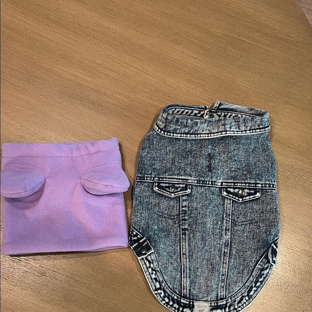 Denim Dog Jacket and Purple Dog hat